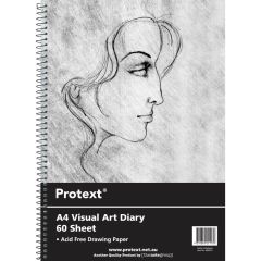 Visual Art Diaries