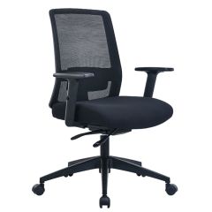 Ergonomic Chairs