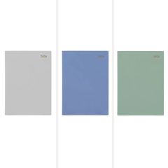 Coloured Appointment Diaries